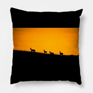 Pronghorn Sunset Pillow