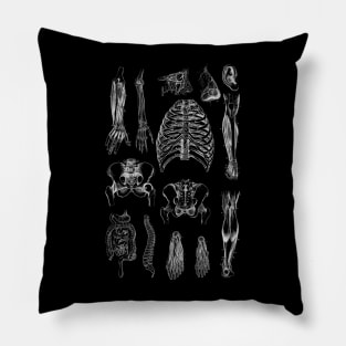 Vintage human anatomy Pillow