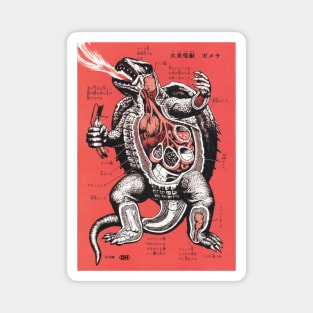 Gamera Anatomy Magnet