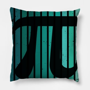 Best pi day Pillow