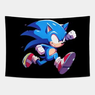 sonic Tapestry