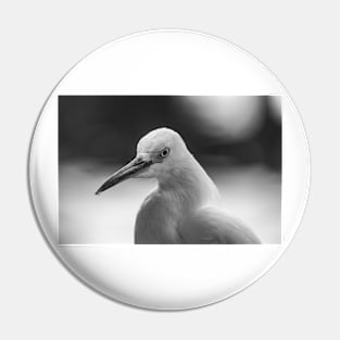 black and white  Snowy Egret Pin