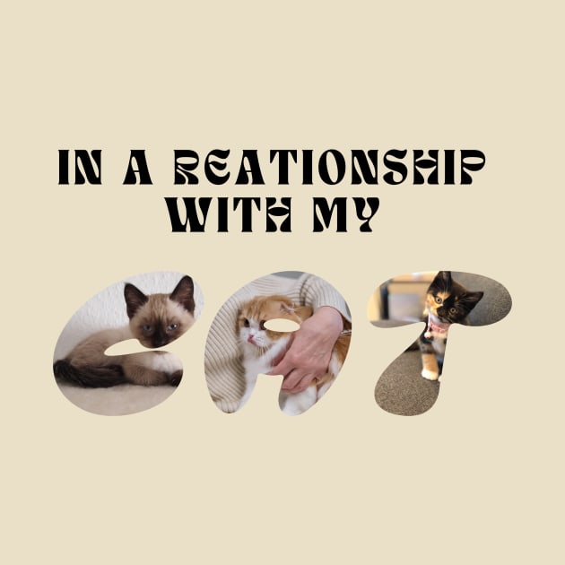 in a relationship with my cat by Kokomidik