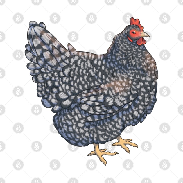 Barred Rock Chicken Illustration by E. Leary Art