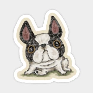 French Bulldog in a funny pose Magnet