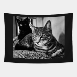 Two Cats Tapestry