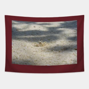 Cute Sand Crab Tapestry