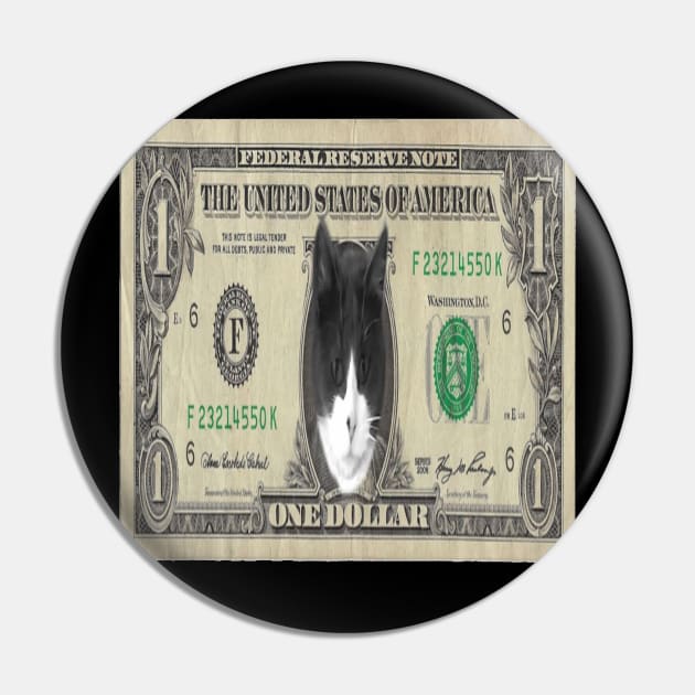 CAT DOLLAR BABY Pin by CATUNIVERSE