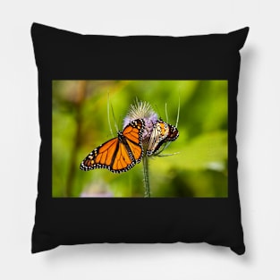 Wings Wide Shut Pillow