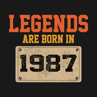 1987 birthday gifts T-Shirt