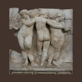 Three Graces Aphrodisias Roman Sebasteion Relief Sculpture T-Shirt