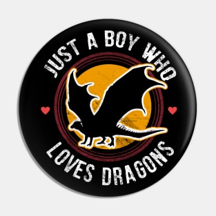 Just a boy who loves dragons Pin