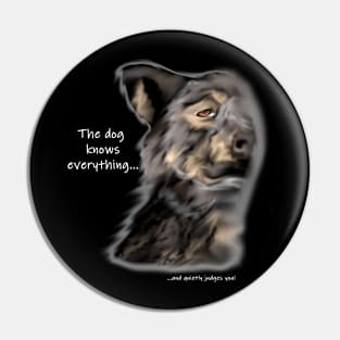 The dog knows everything! Pin