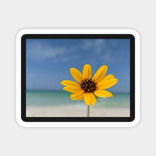 Yellow Flower at the Beach 1 Magnet