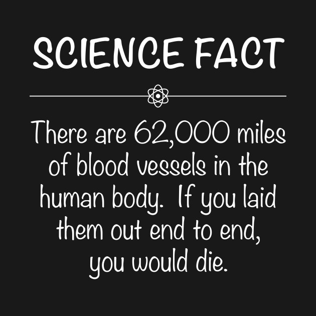 science-fact-science-fact-kids-t-shirt-teepublic