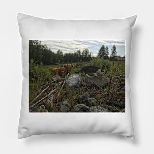 Scottish Highland Cattle Calf and Cat 2065 Pillow