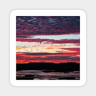 Pink and Purple Sunset with Birds in Iceland Magnet