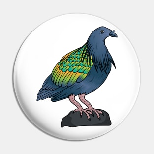 Nicobar pigeon bird cartoon illustration Pin