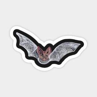 Spooky Bat Pattern - Black Magnet