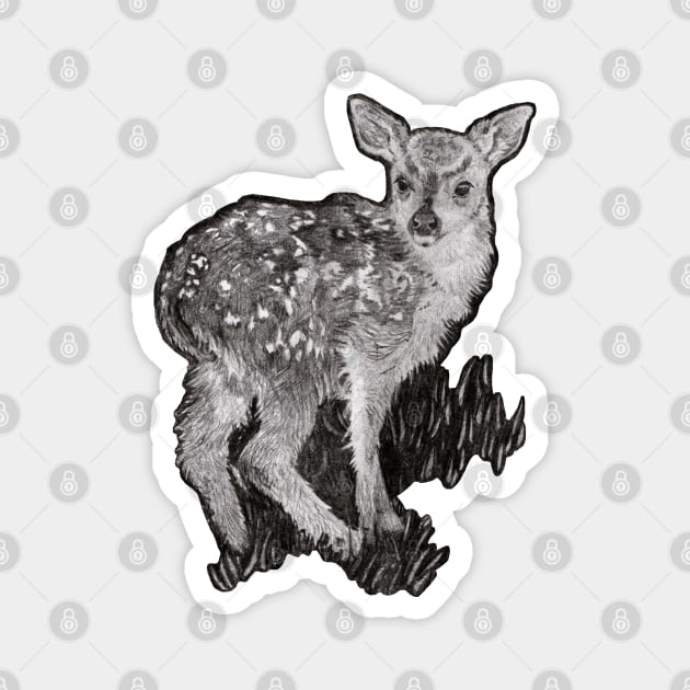 Deer Drawing Magnet by AnitasArtStore