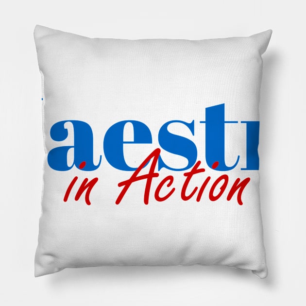 Maestro Job Pillow by ArtDesignDE