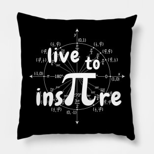 Pi Day Pillow