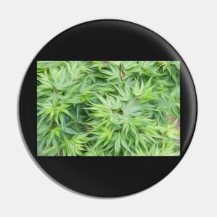 Acer palmatum oil painting effect Pin