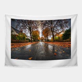 Rainy Autumn Road Tapestry