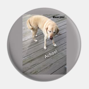 Sneezy Dog Pin