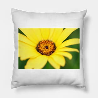 Yellow flower close-up against blurry green background Pillow