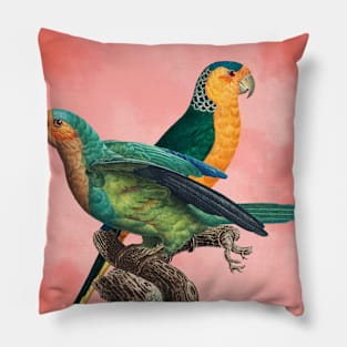 The Birds and the pink sky II Pillow