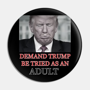 Demand Trump Be Tried As An Adult Pin