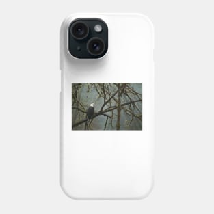 Eagle in the rainforest Phone Case