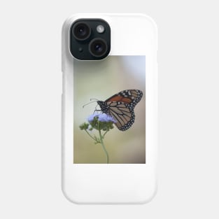 Migration Series IX Phone Case