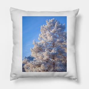 Hoarfrost pine tree Pillow