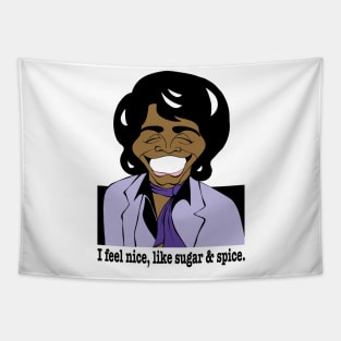 James Brown Godfather of Soul fan art Tapestry