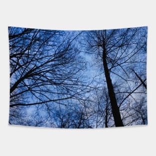 Lots Of Trees Under Blue Sky Pattern Art Tapestry