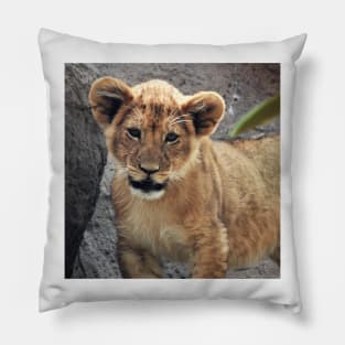 Lion Cub Pillow