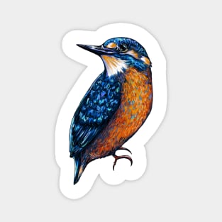 Kingfisher Digital Art Drawing Magnet