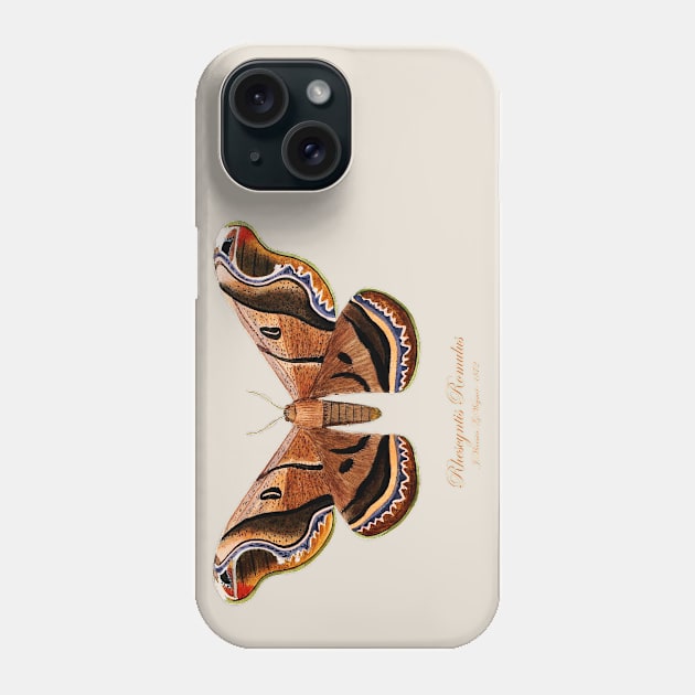 Moth - Giant Silk Moth, Rhescyntis Romulus, Rhescyntis Romulus Maassen, Caio Romulus Phone Case by SPJE Illustration Photography