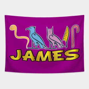 JAMES-American names in hieroglyphic letters-James, name in a Pharaonic Khartouch-Hieroglyphic pharaonic names Tapestry