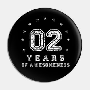 Vintage 2 years of awesomeness Retro 2017 Birthday Gift Pin