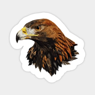 Golden eagle Magnet