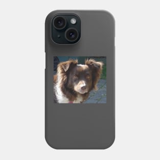 australian shepherd red tri Phone Case