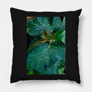 ornamental plants Pillow