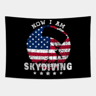 US Retro Vintage Skydiver Skydiving Parachuting Skydive Gift Tapestry