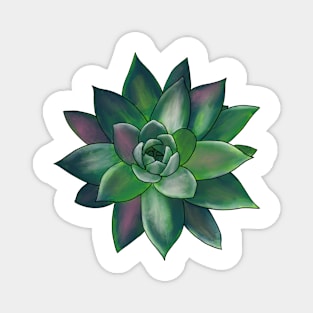 Colorful Succulent - Green and Pink Transparent Magnet