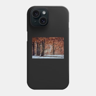 Roe deer in the forest Phone Case