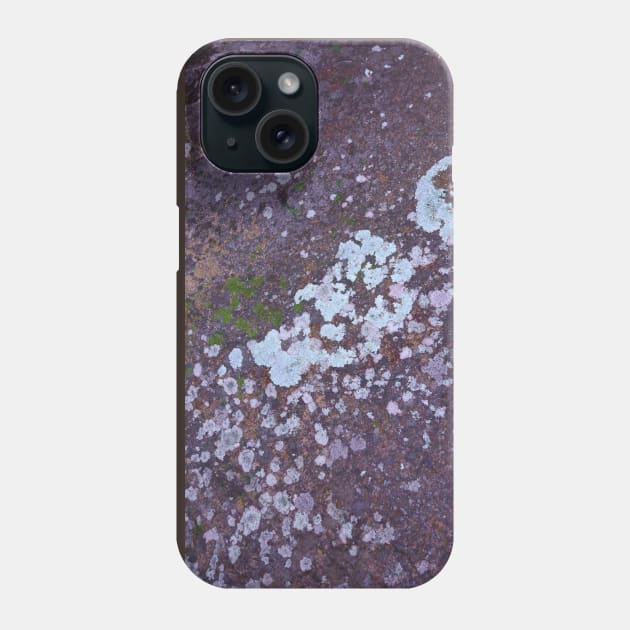 Blue rock, blue lichen Phone Case by stevepaint