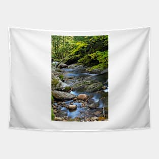 Downstream Texas Falls Tapestry